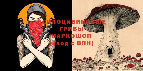 соль курить ск Верхний Тагил