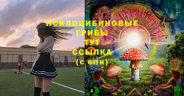 соль курить ск Верхний Тагил