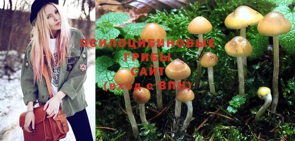 не бодяженный Верея