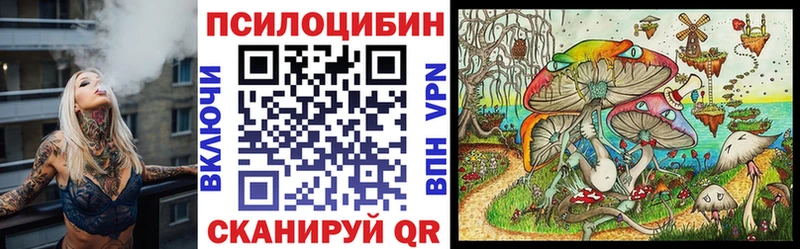 Псилоцибиновые грибы GOLDEN TEACHER  купить   Бийск 